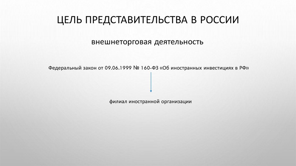 Цель представительства в россии