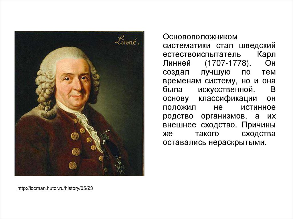 Система классификации живых организмов презентация