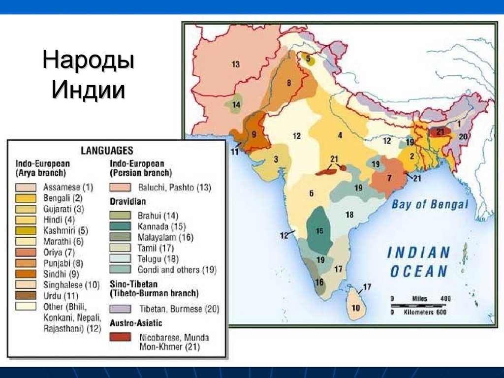 Язык в индии. Этническая карта Индии. Карта этносов Индии. Основные народы Индии карта. Национальный состав народы Индии.