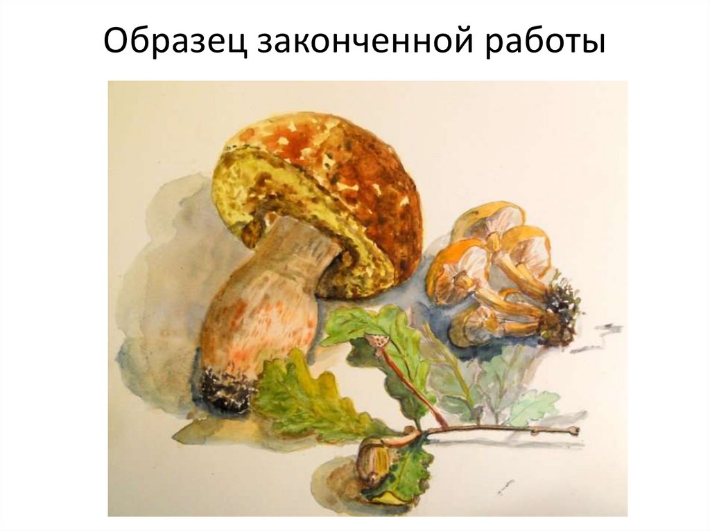 Рисунок гуашью грибы