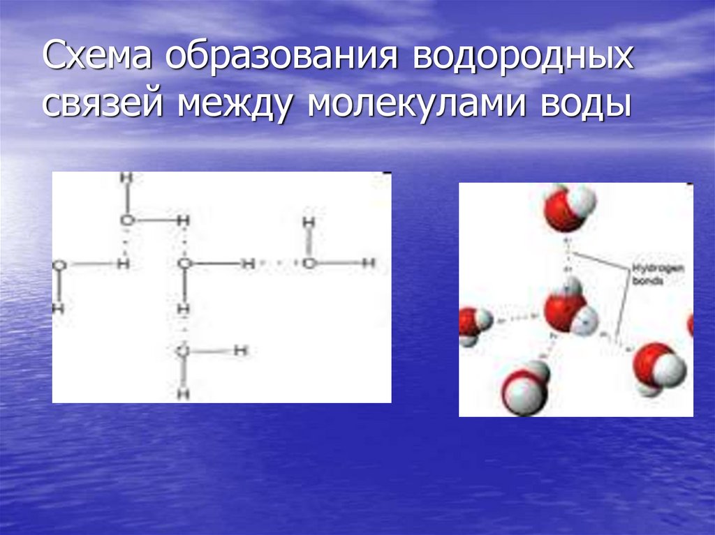 Схема образования водородной связи