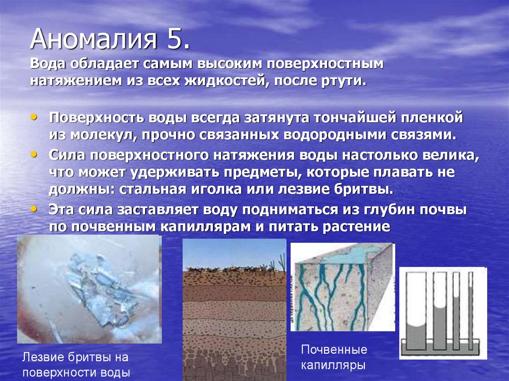 Аномалия 5. Вода обладает самым высоким поверхностным натяжением из всех жидкостей, после ртути.