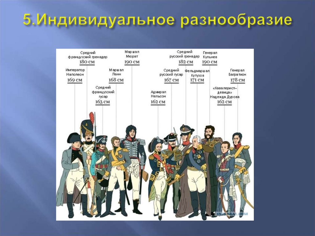 Социальные группы 20 века. Какого роста был Наполеон 1 Бонапарт. Наполеон Бонапарт рост. Наполеон Бонапарт рост сравнения. Наполеон Бонапарт рост и вес.