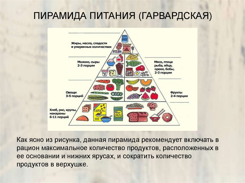 Укажите уровни пищевой пирамиды начиная с продуктов. Гарвардская пирамида питания пищевая пирамида. Пирамида питания Гарвардского университета. Пищевая диаграмма пирамида. Пирамида рационального питания схема.