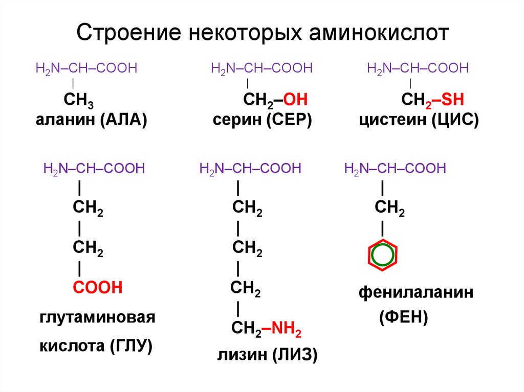 Соединение аминокислот