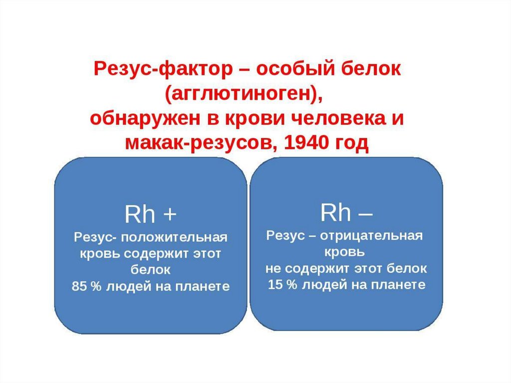 Резус фактор плода по крови. Резус конфликт. Rh фактор крови что это. Rh фактор крови положительный. Несовместимость по резус фактору матери и ребенка.