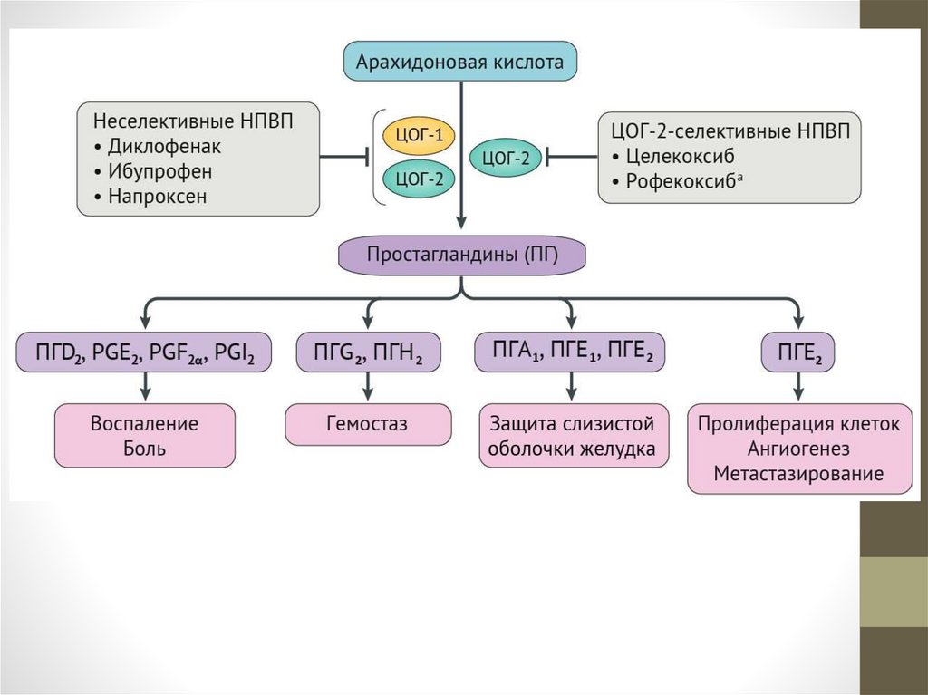 Что такое нпвп