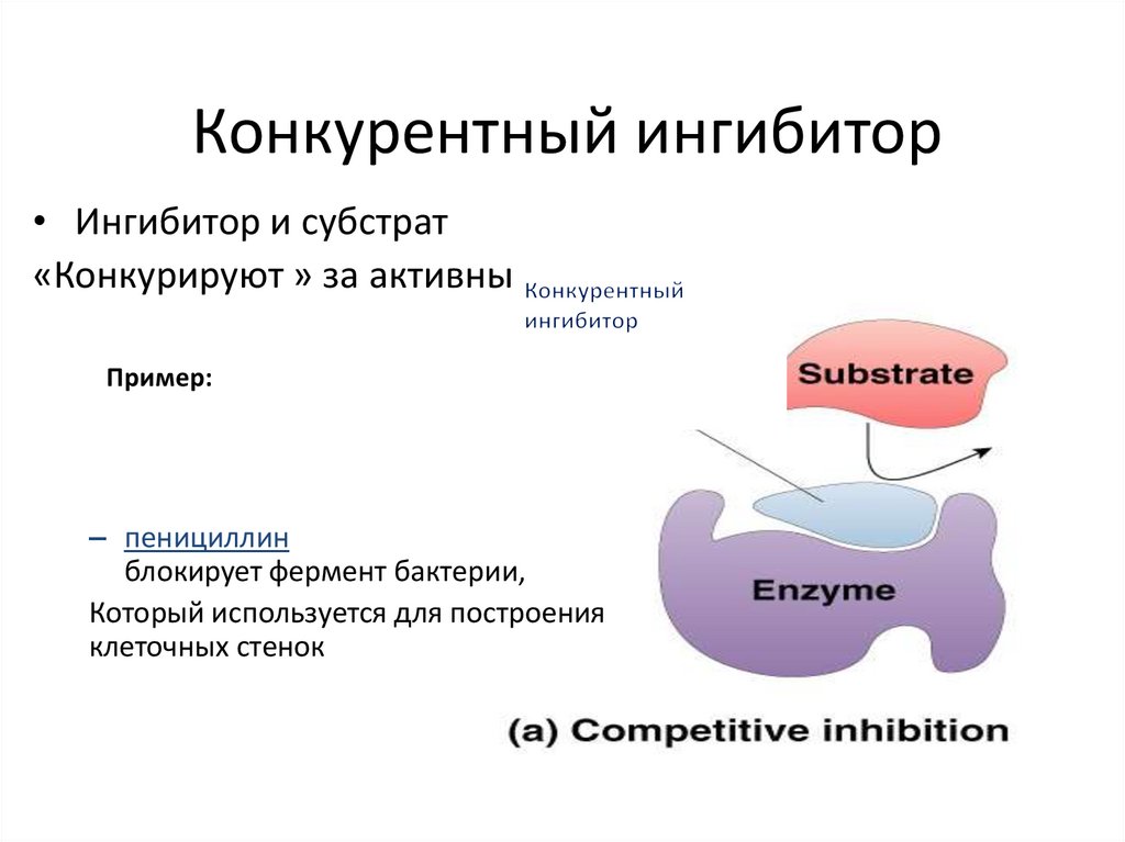 Неконкурентное ингибирование схема