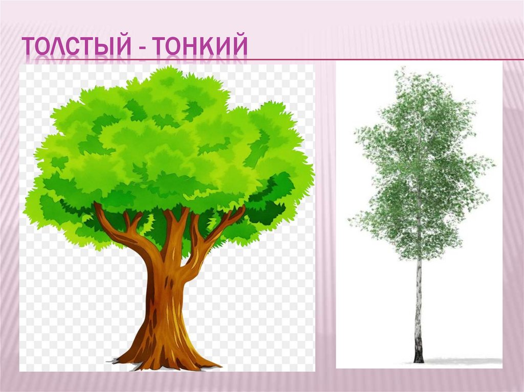 Толстый - тонкий