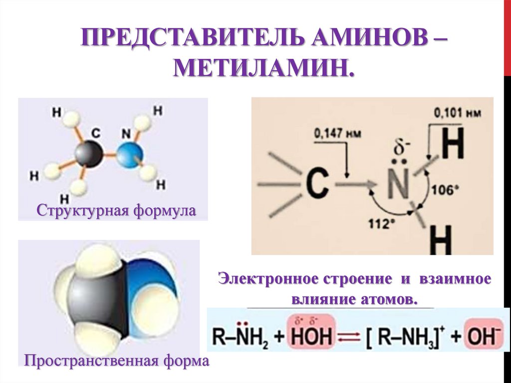 Метиламин основные свойства