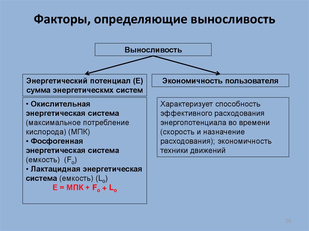 Уровень развития двигательных способностей человека определяется