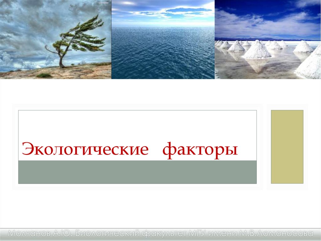 Презентация экологические сообщества. Природные факторы.