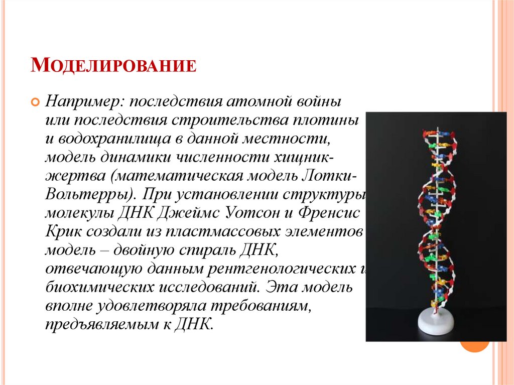 Какой метод биологических исследований был использован для получения изображения на данном рисунке