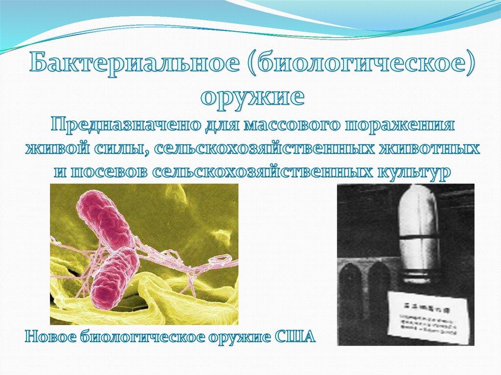 Презентация на тему ядерное химическое и биологическое оружие