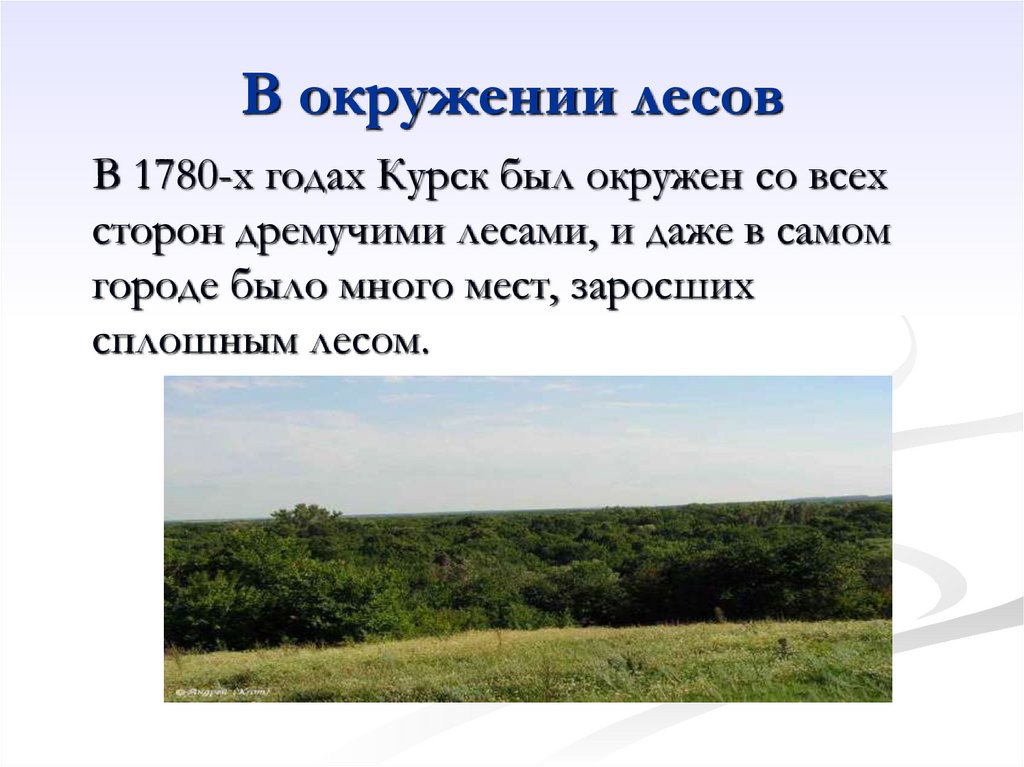 В окружении лесов