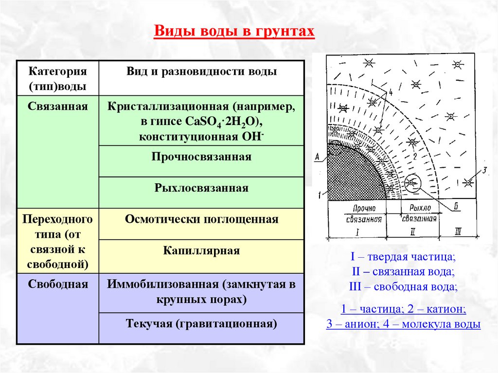 Из каких фаз состоит. Виды воды в грунтах. Вода в грунтах. Виды воды в почвогрунтах. Какие виды воды находятся в грунте.