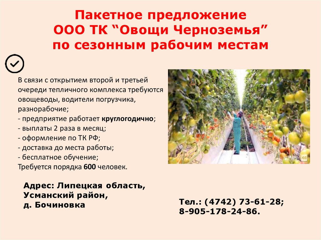 Пакетное предложение ООО ТК “Овощи Черноземья” по сезонным рабочим местам