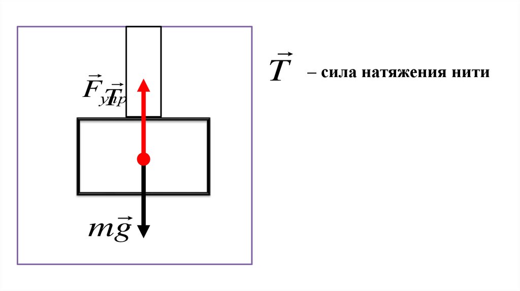 Направление силы упругости