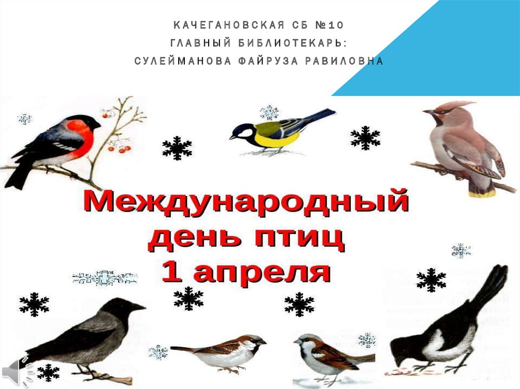 Классный час день птиц 1 класс. Международный день птиц. 1 Апреля день птиц. 1 Апреля день птиц презентация. День птиц отчет.