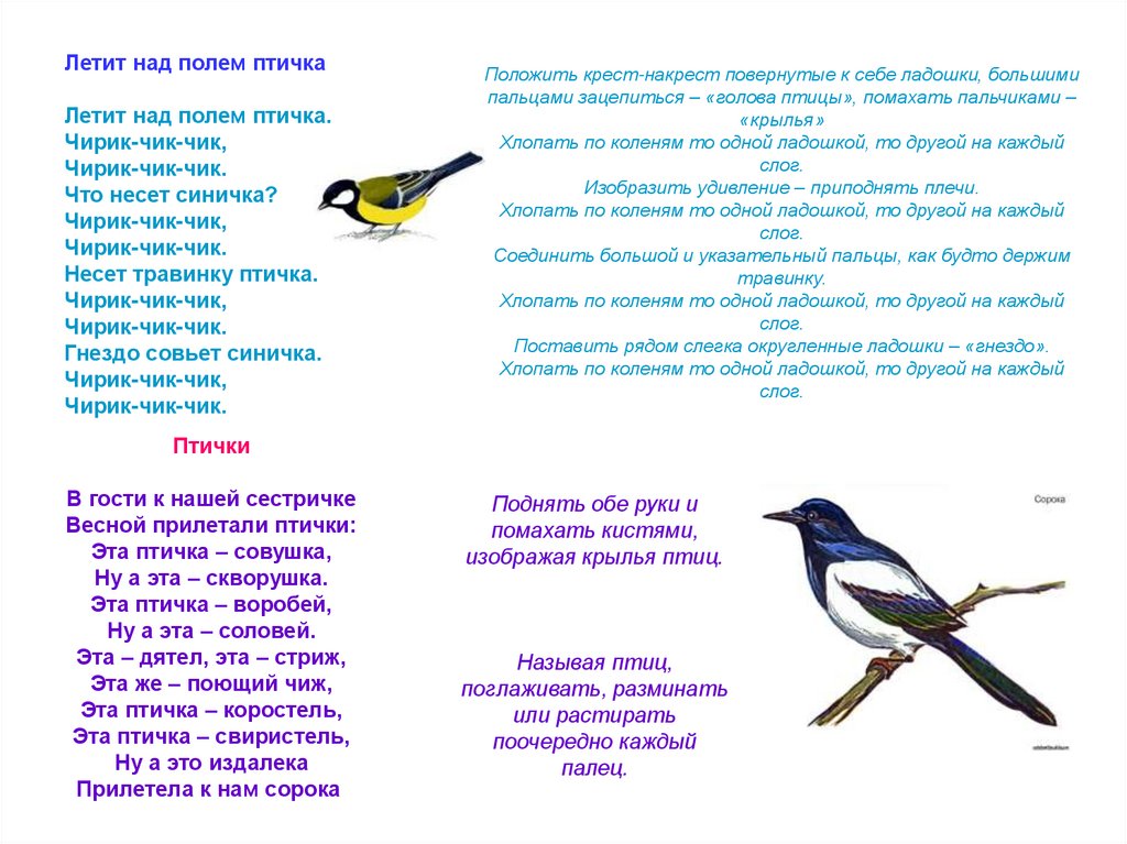 Стихи для детей про птиц весной