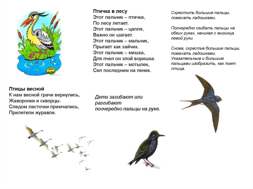 Стихи про перелетных птиц для детей. Стихи про птиц для детей. Стихи про птиц для малышей. Стихи о птенцах весной.