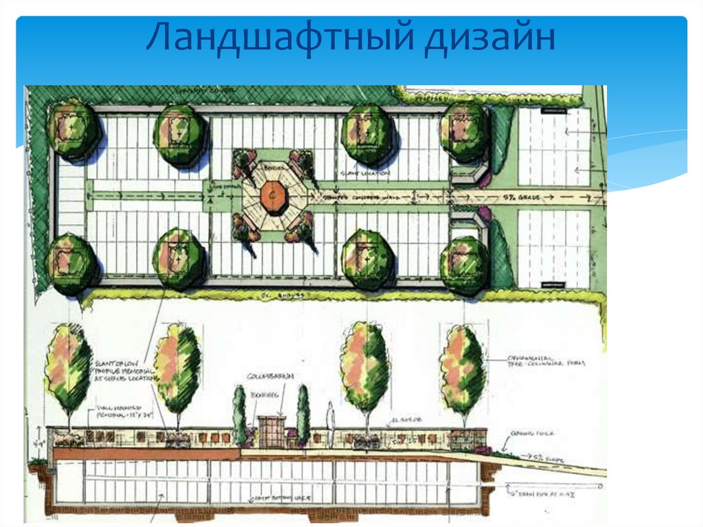 Ландшафтный дизайн