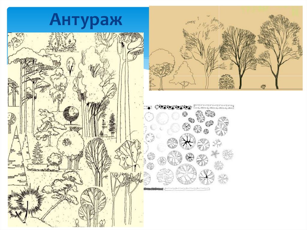 Антураж адрес. Антураж. Антураж архитектурная Графика. Антураж деревья Графика. Антураж это простыми словами.