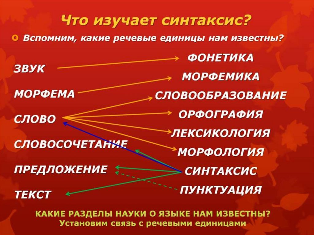 Что изучает синтаксис 5 класс