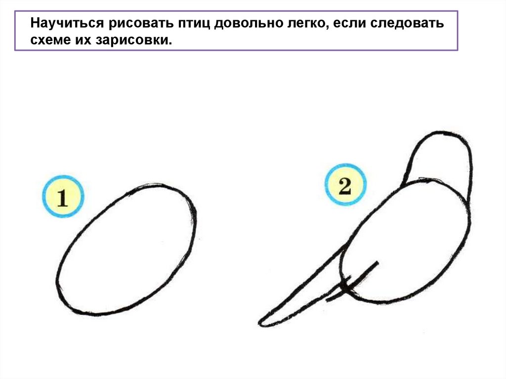 презентация проекта цветные ладошки