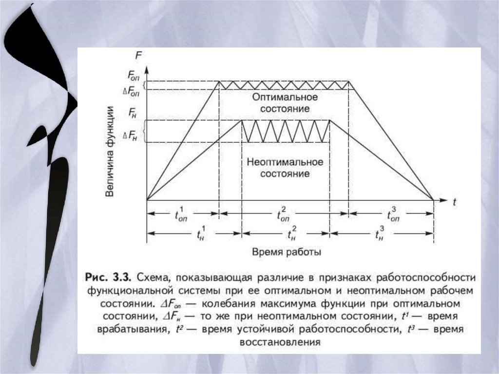 Работоспособность и функциональные состояния. Работоспособность схема. Состояние работоспособности. Фазы работоспособности график. Функциональное состояние оптимальной работоспособности.