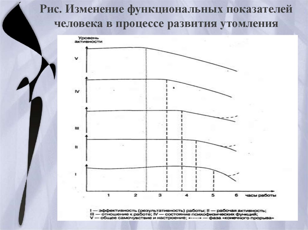 Лабораторная работа утомление мышц 8 класс. Изменение функциональности. Презентация изменение функционала. Названия фаз развития процесса утомления и восстановления. Показатели человека Графика.