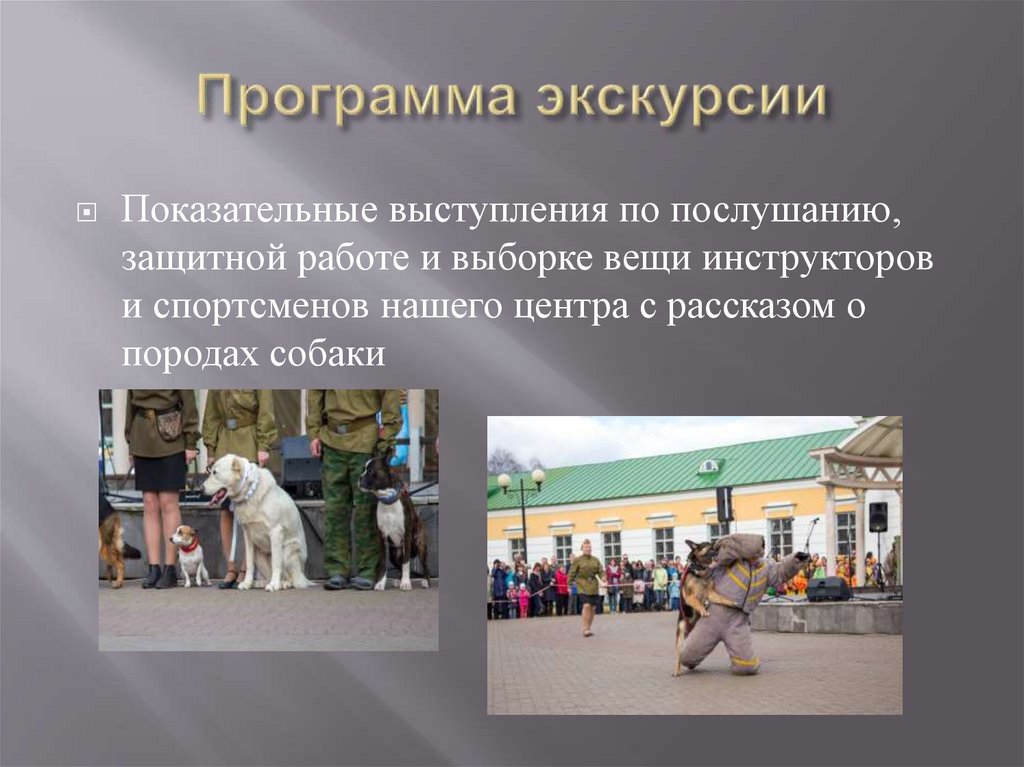 Программа экскурсии