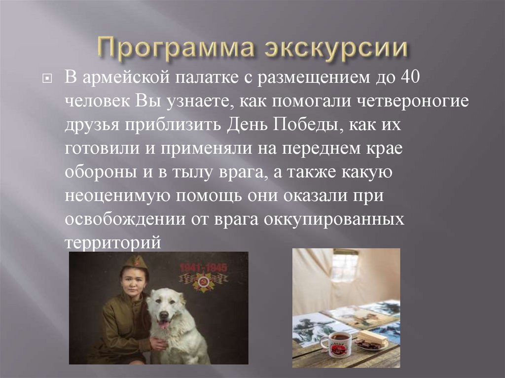 Программа экскурсии