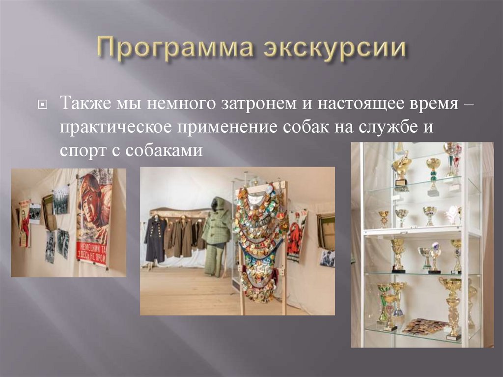 Программа экскурсии