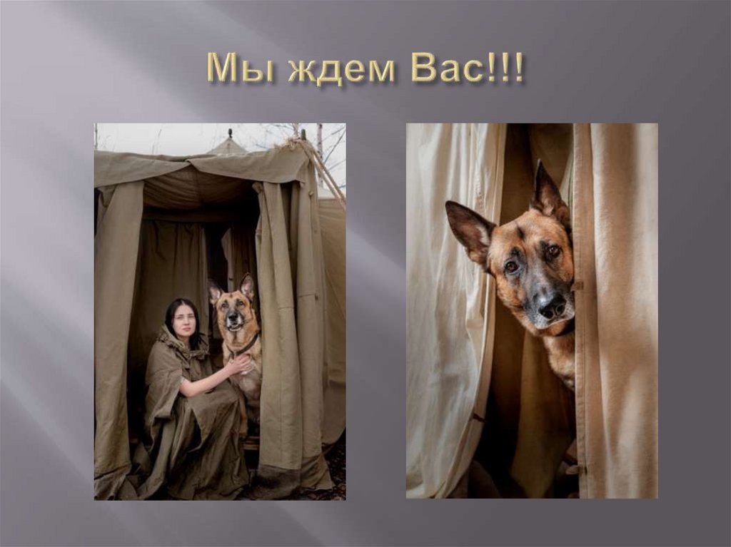 Мы ждем Вас!!!