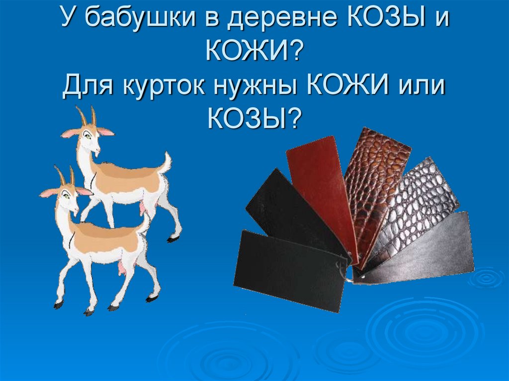 У бабушки в деревне КОЗЫ и КОЖИ? Для курток нужны КОЖИ или КОЗЫ?