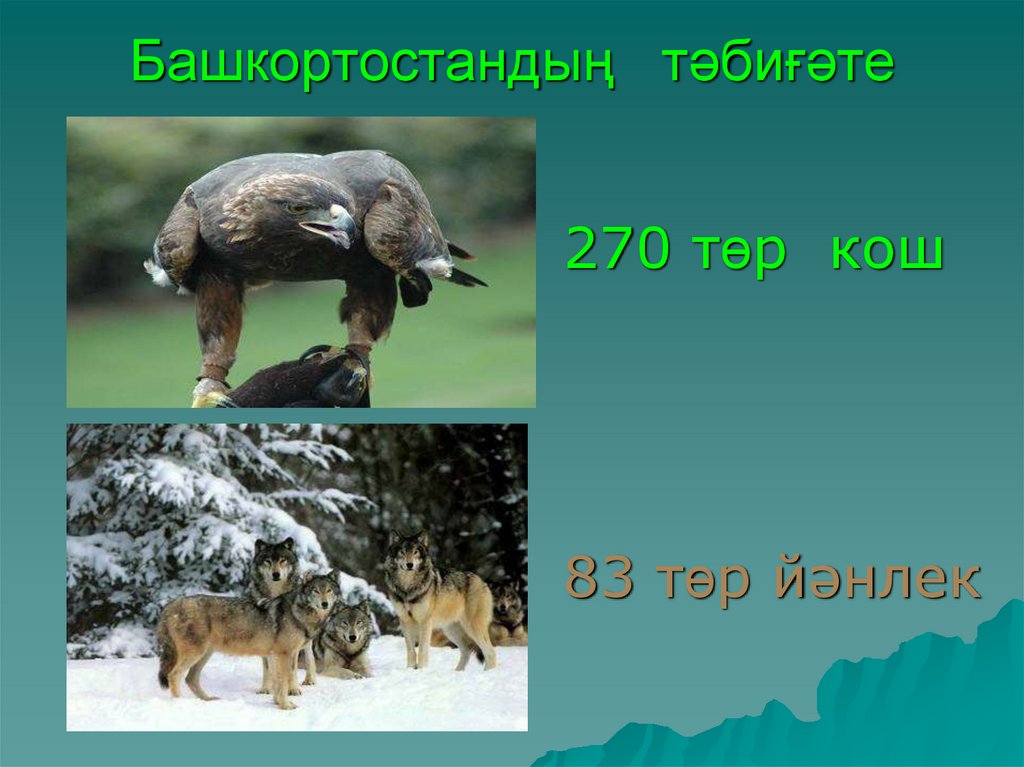 Башкортостандың тәбиғәте