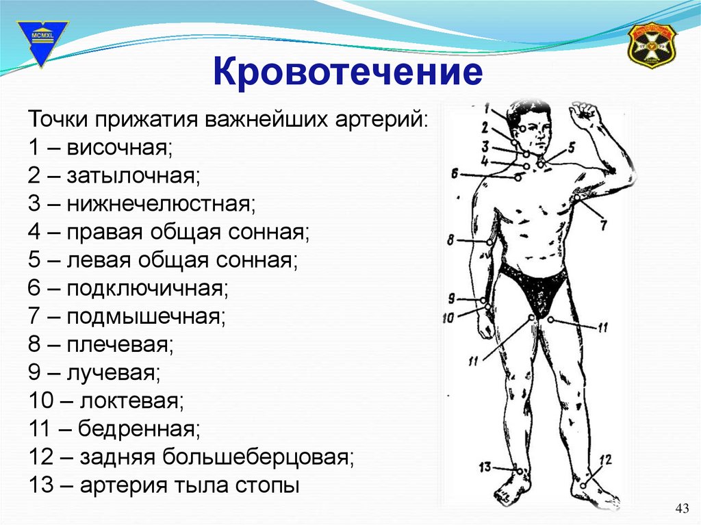 Правило девятки передняя поверхность туловища составляет