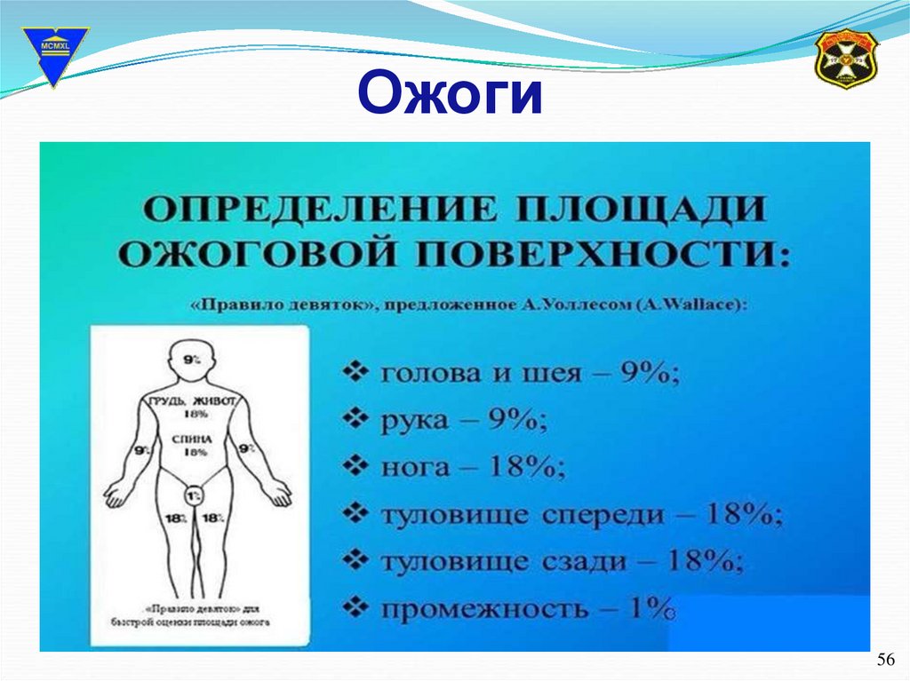 Правила определения площади ожогов