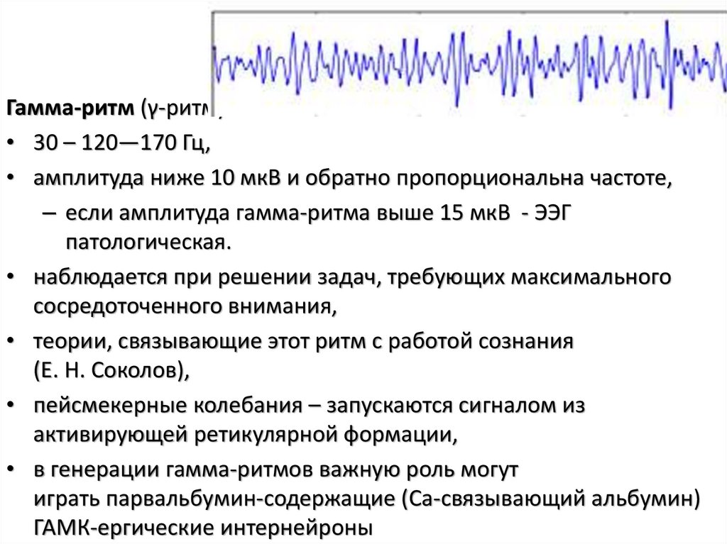 Ритмы ээг. Гамма ритм ЭЭГ. Частота гамма ритма на ЭЭГ. Амплитуда ритмов ЭЭГ. Гамма ритм ЭЭГ амплитуда.