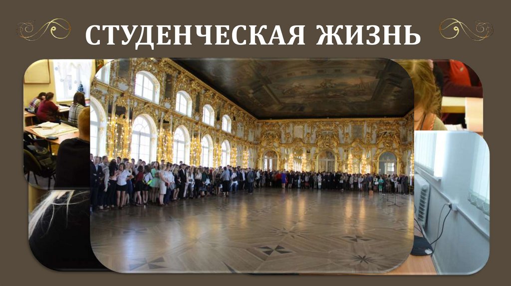 Студенческая жизнь