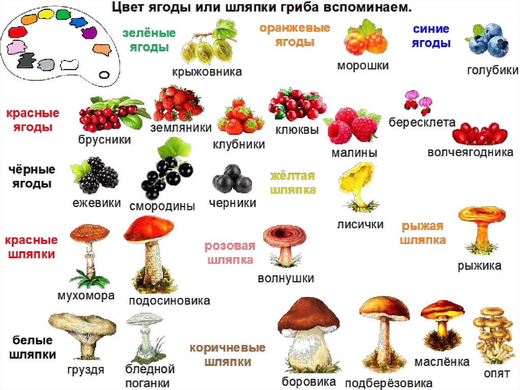 Как называется данная группа грибов. Грибы съедобные несъедобные и ядовитые. Съедобные грибы несъедобные грибы ядовитые. Грибы съедобные и ядовитые Заголовок. Таблица съедобных и несъедобных грибов и ягод.