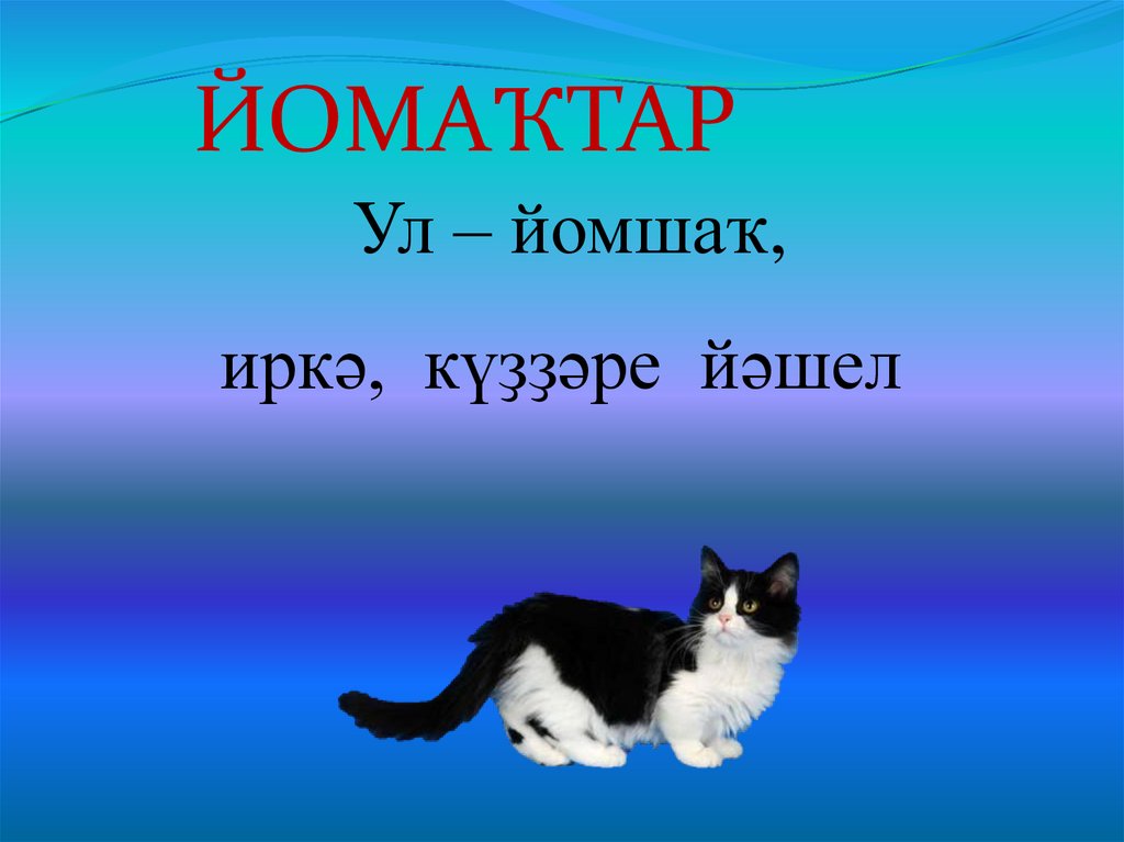 Хәйерле көн картинки