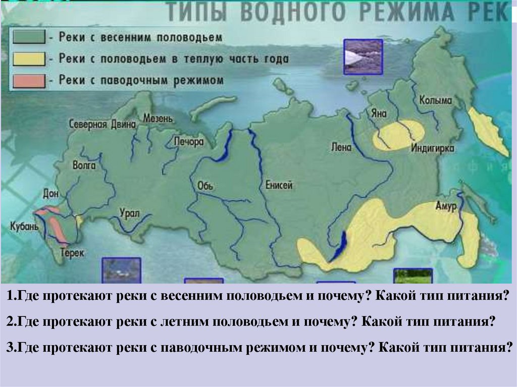 Двина к какому океану относится. Особенности водного режима. Карта типов питания рек России. Российские реки с весенним половодьем. Виды водных режимов рек.