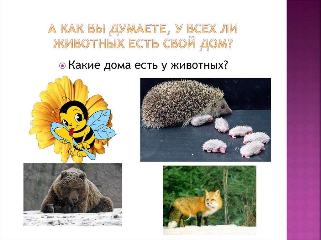 А как вы думаете, у всех ли животных есть свой дом?