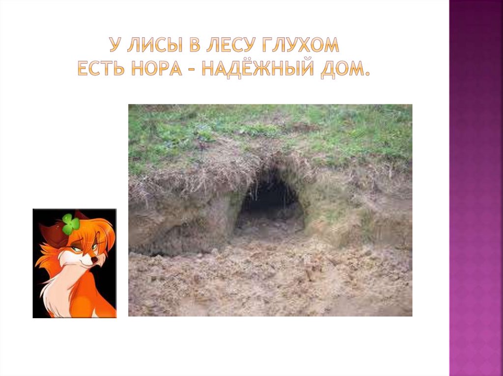 У лисы в лесу глухом есть нора – надёжный дом.