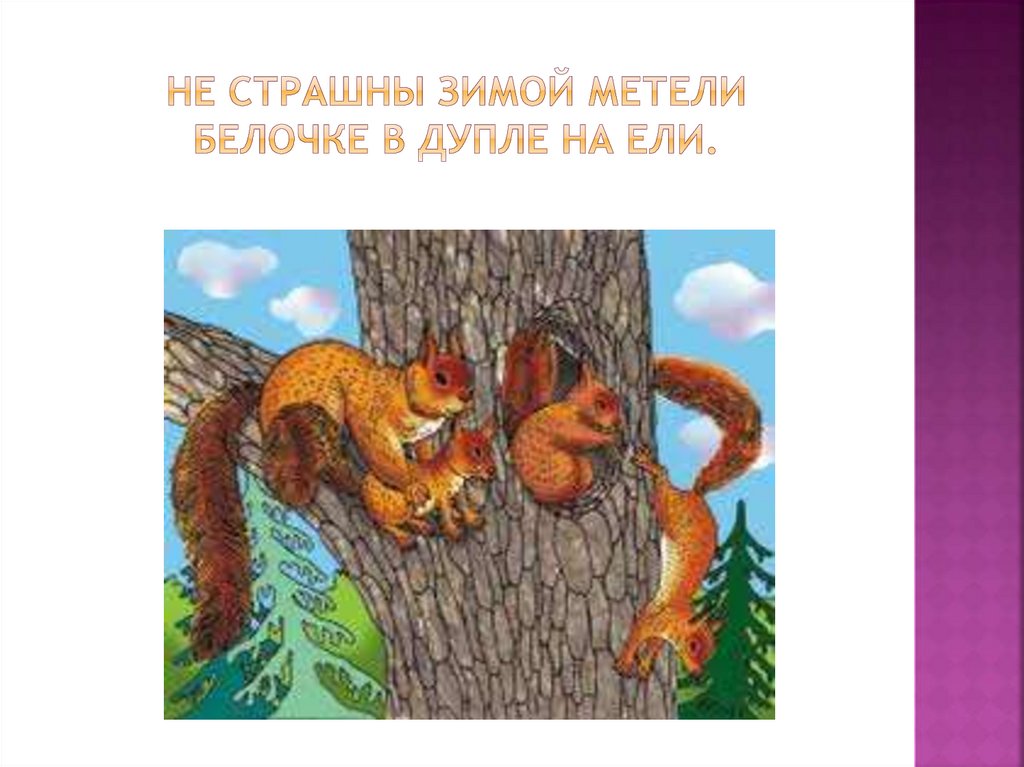 Не страшны зимой метели Белочке в дупле на ели.