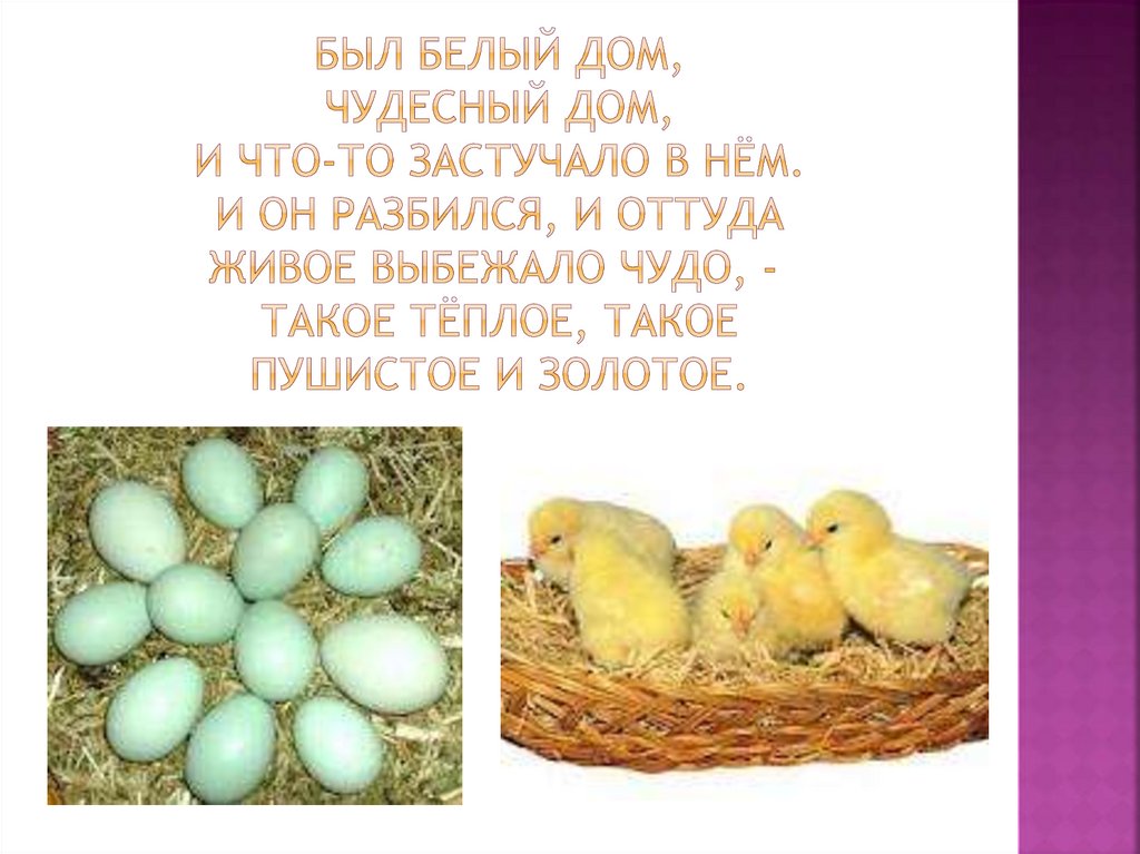 Был белый дом, Чудесный дом, И что-то застучало в нём. И он разбился, и оттуда Живое выбежало чудо, -  Такое тёплое, такое