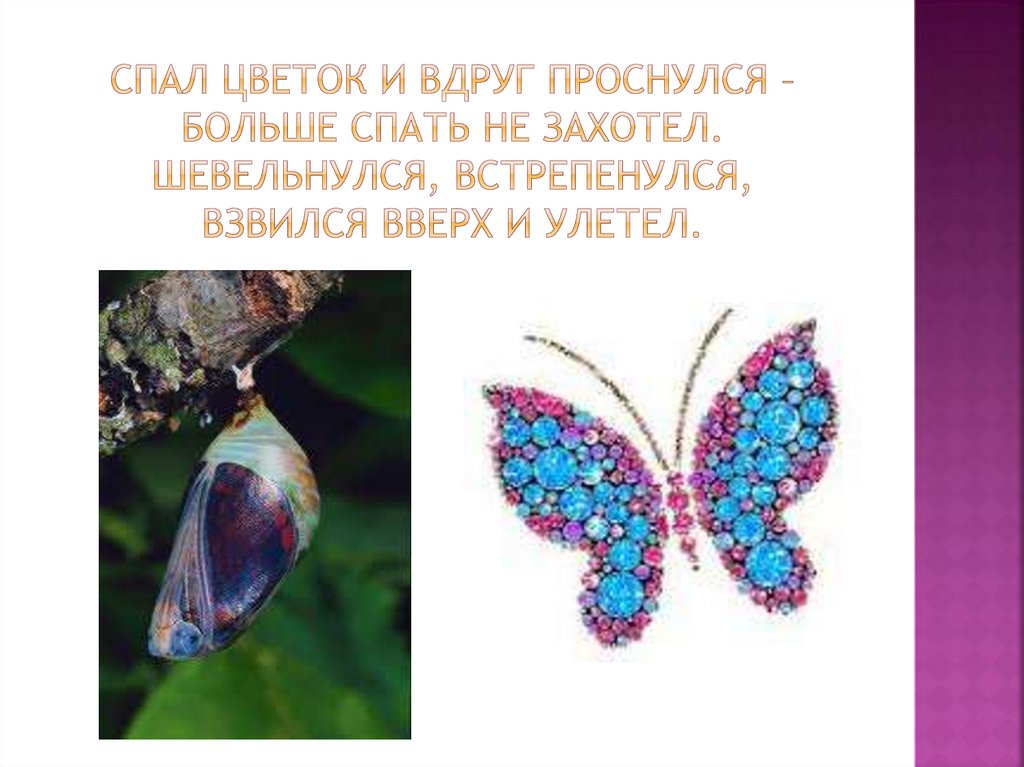 Спал цветок и вдруг проснулся – Больше спать не захотел. Шевельнулся, встрепенулся, Взвился вверх и улетел.