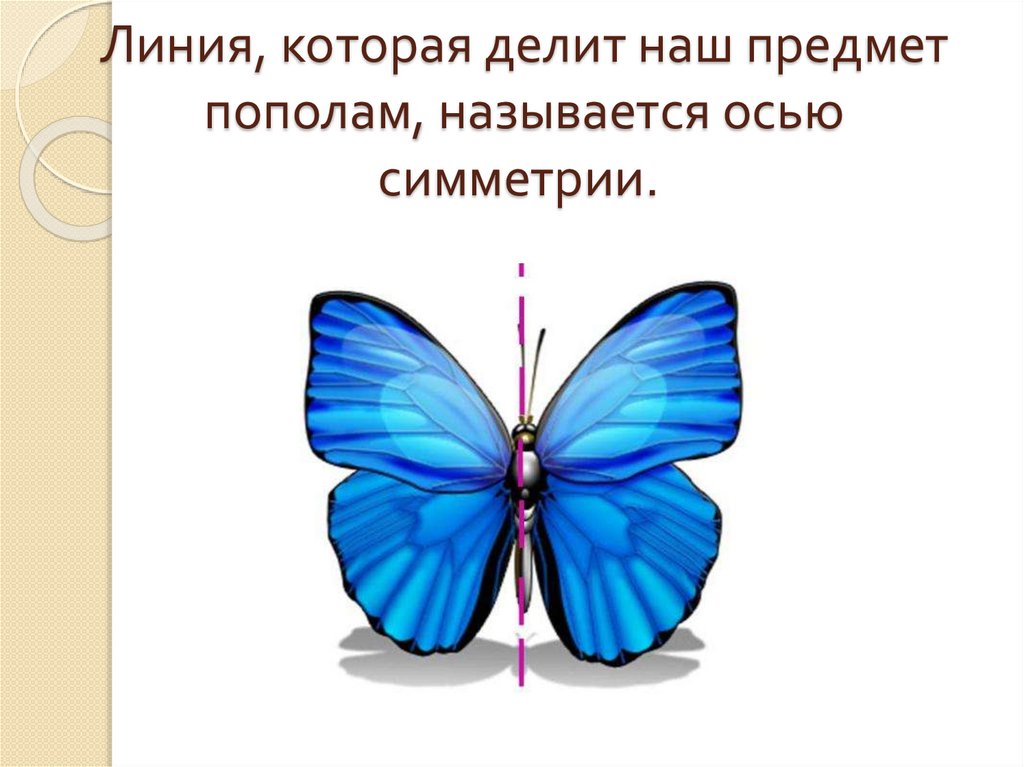 Симметрия картинка для презентации